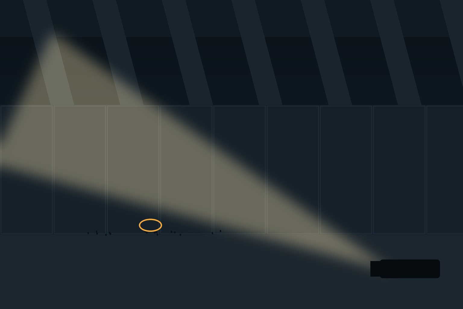 A flashlight inspection of a Cleveland basement sill plate for rodent entry points